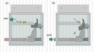 Illustration for article titled Chimps are better at teamwork than anyone realized